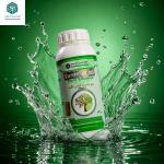 روغن ولک تابستانه آبگینه