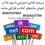 سرمایه گذاری با سود بالا در شغل پرسود اینترنتی