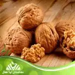 3. فروش ویژه نهال گردو دیرگل با کیفیت عالی