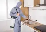 سمپاشی ساس سوسک موش کنه گال مایت شپش شرکت سم پاشی در محمدشهر ماهدشت کرج