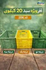سبد 20 کیلویی پرتغال