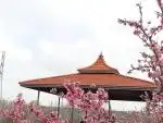 اجرای آلاچیق و شیروانی بابهترین متریال 