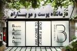 کاشت مو و ابرو با پرداخت 8 تومن و قسطی