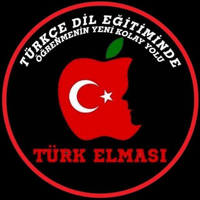 تدریس تخصصی تومر و ترکی استانبولی افلاین انلاین حضوری خصوصی