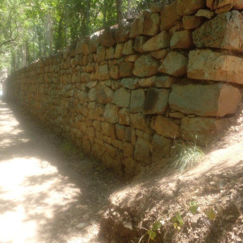 زمینی مشجر کرت بندی شده سنگ چین شده  ۱۲۰۰متر